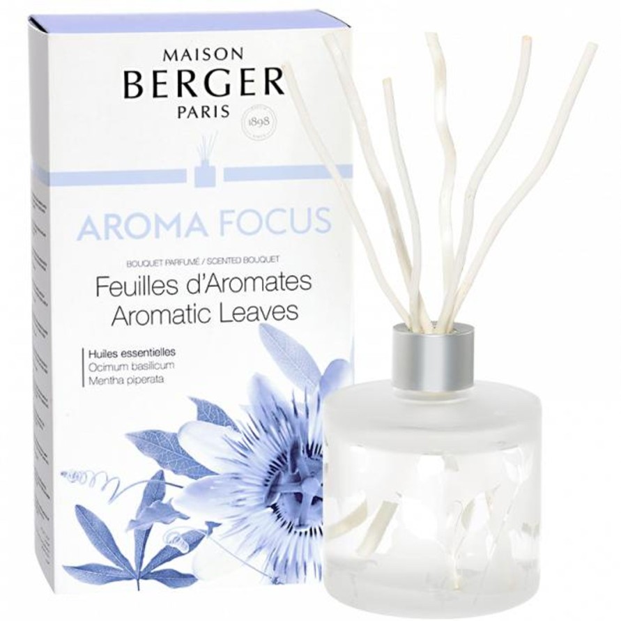 Koti Maison Berger | Aroma Focus - Huonetuoksu