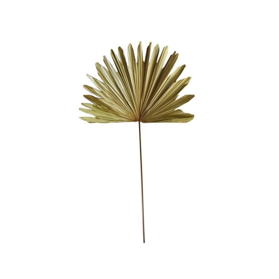 Koti Mars & More | Palm Leaf Branch Dried 96Cm